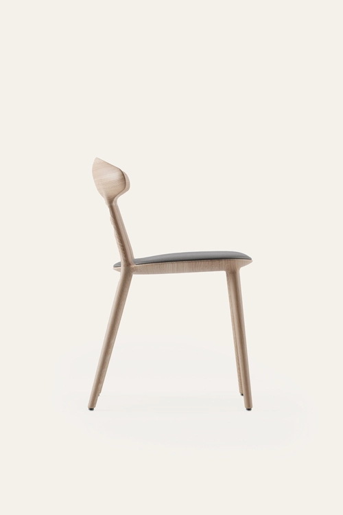 Židle Wu designová dřevěná židle z masivu